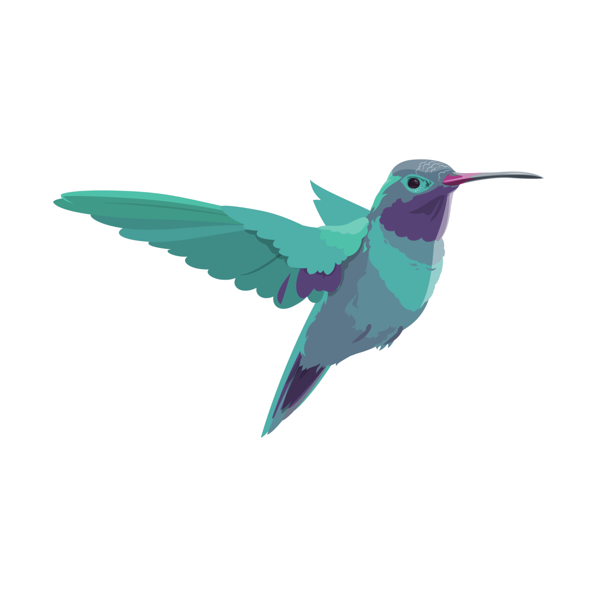 Colibri, la cabane du bien-être